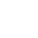 Prancheta 1